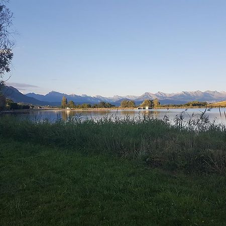 Camping La Motte Flottante La Freissinouse Esterno foto