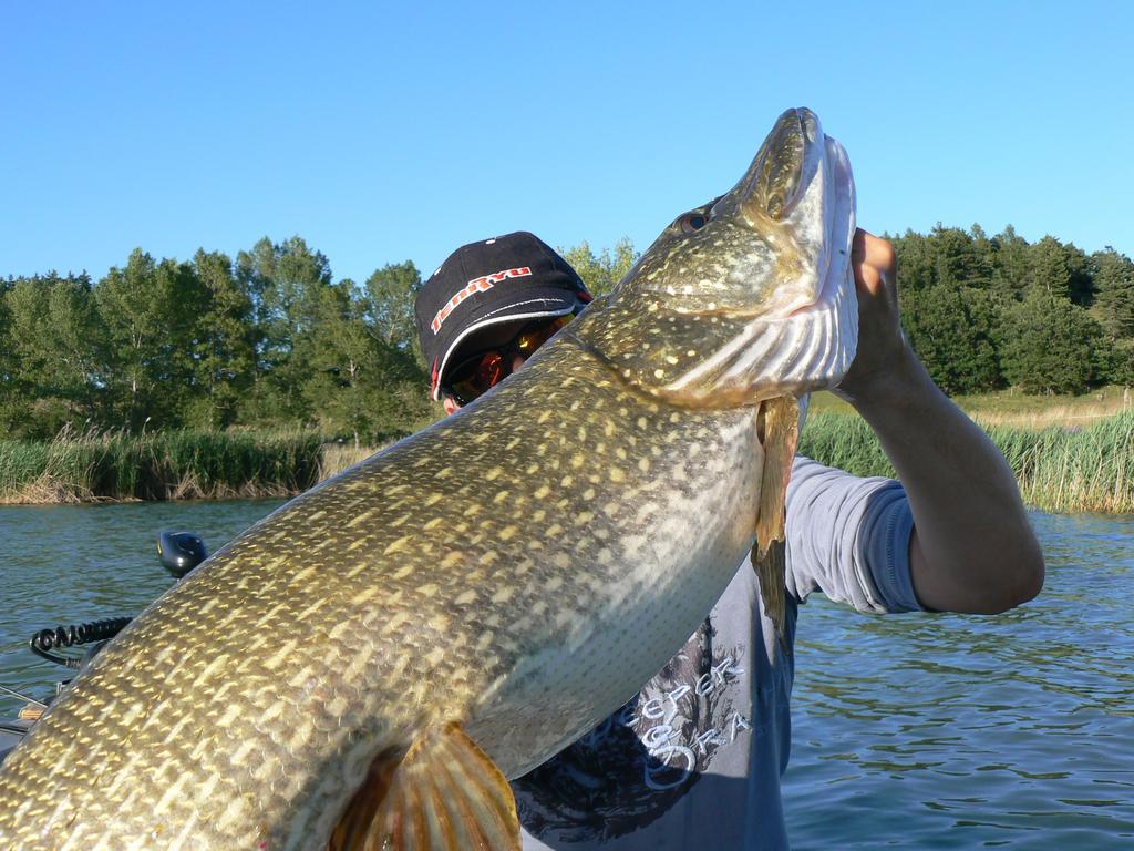 Camping La Motte Flottante La Freissinouse Esterno foto