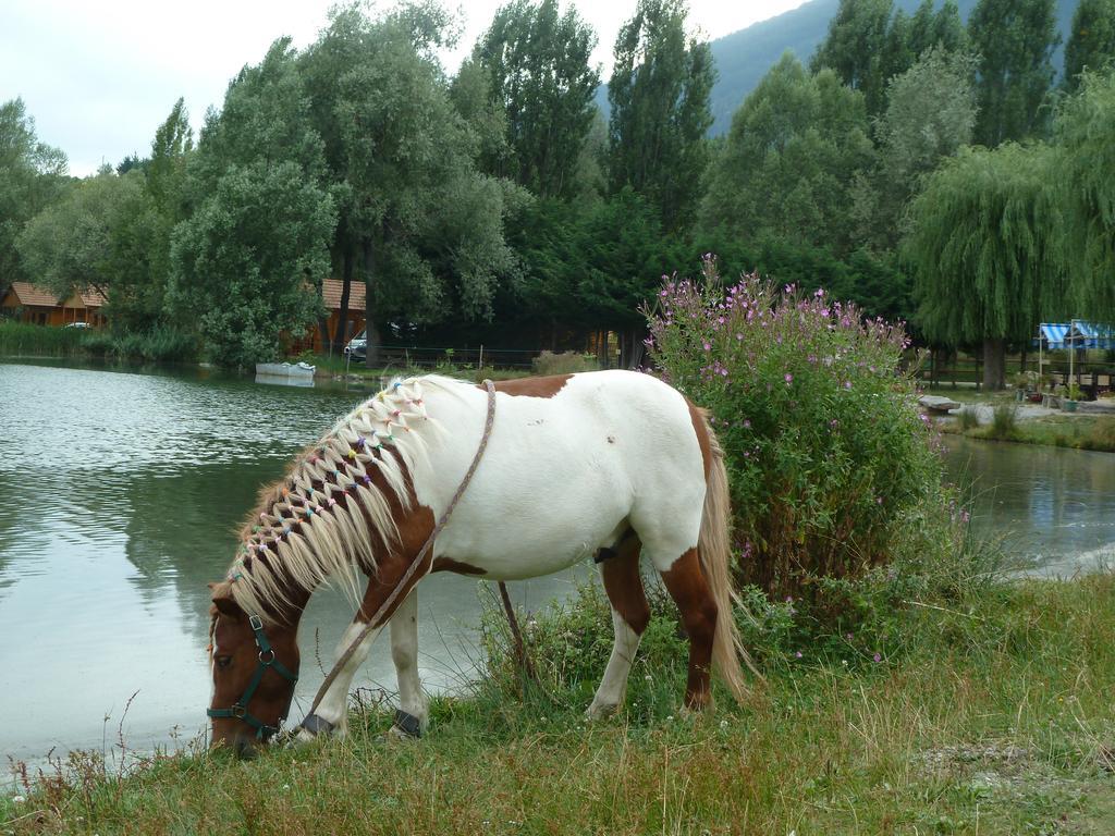 Camping La Motte Flottante La Freissinouse Esterno foto