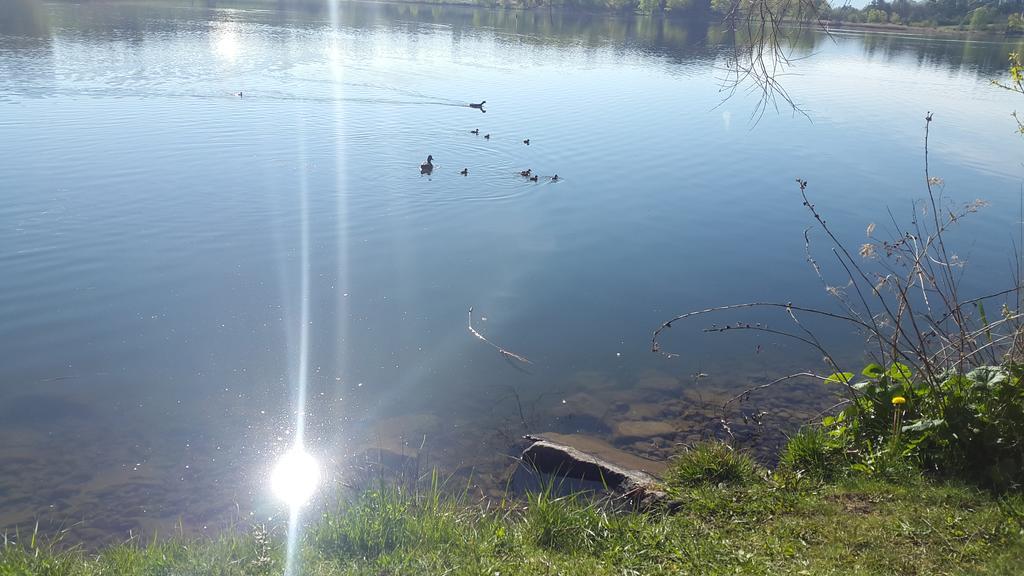 Camping La Motte Flottante La Freissinouse Esterno foto