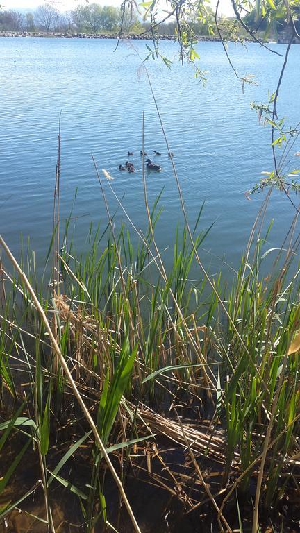 Camping La Motte Flottante La Freissinouse Esterno foto