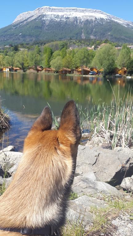 Camping La Motte Flottante La Freissinouse Esterno foto