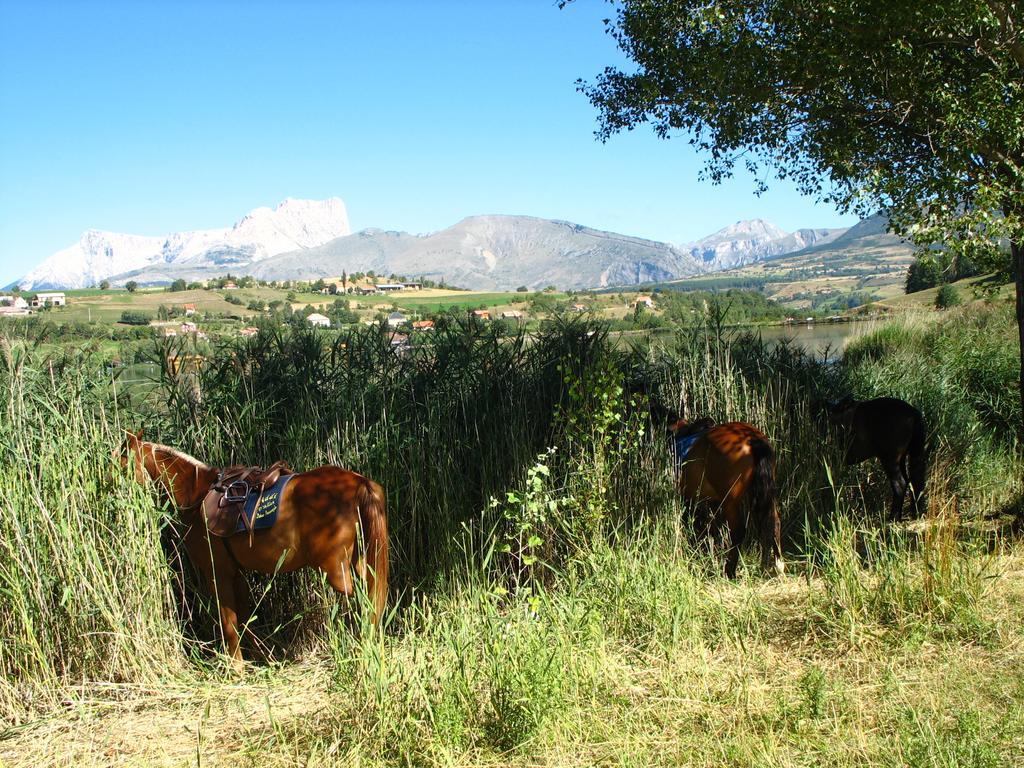 Camping La Motte Flottante La Freissinouse Esterno foto